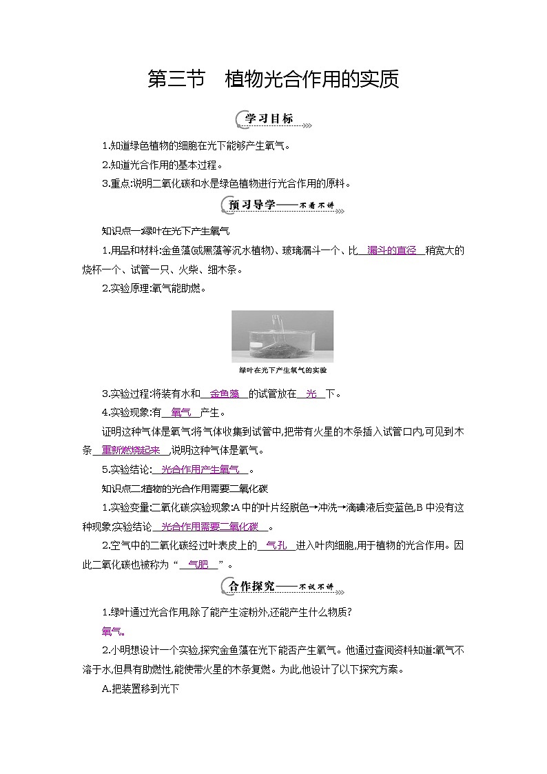 七年级生物上册 第六章第三节 植物光合作用的实质导学案101