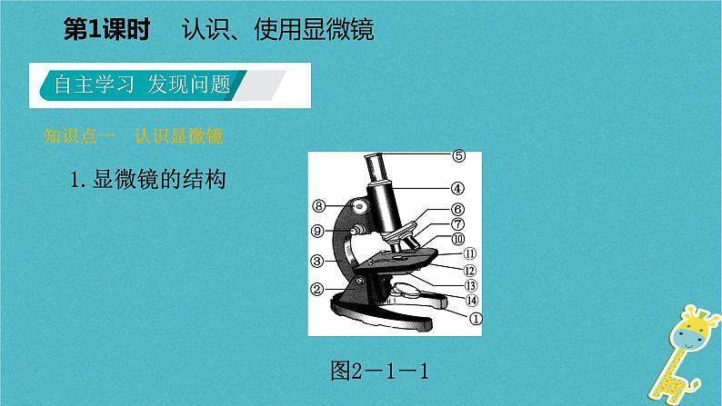 2018年七年级生物上册第一单元第二章第一节探索生命的器具第1课时认识使用显微镜课件新版苏教版20180822348第4页