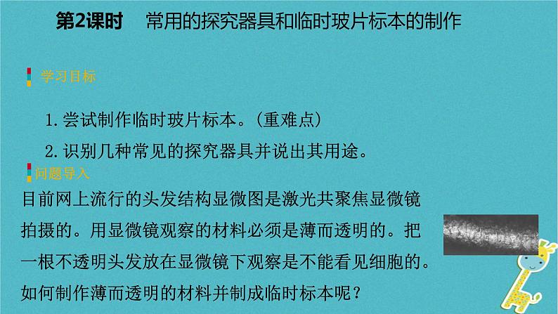 1.2.1 探索生命的器具第2课时常用的探究器具和临时玻片标本的制作课件03