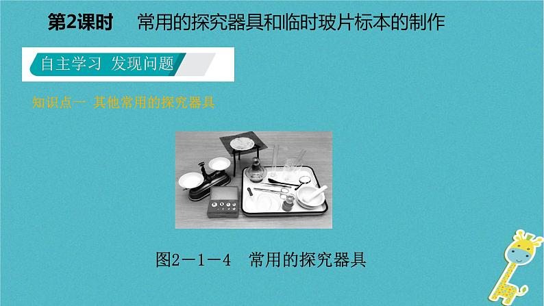 1.2.1 探索生命的器具第2课时常用的探究器具和临时玻片标本的制作课件04