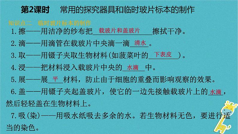 1.2.1 探索生命的器具第2课时常用的探究器具和临时玻片标本的制作课件07