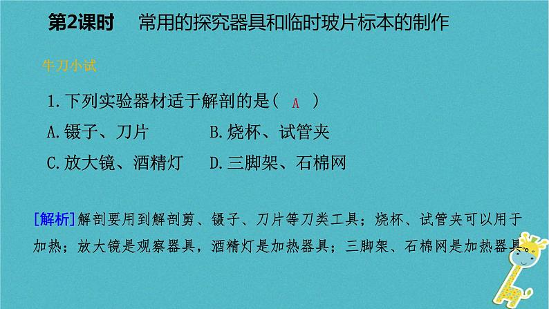 1.2.1 探索生命的器具第2课时常用的探究器具和临时玻片标本的制作课件08