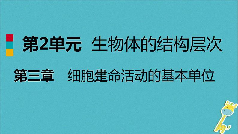 2018年七年级生物上册第二单元第三章第一节植物细胞的结构与功能课件新版苏教版20180822367第1页