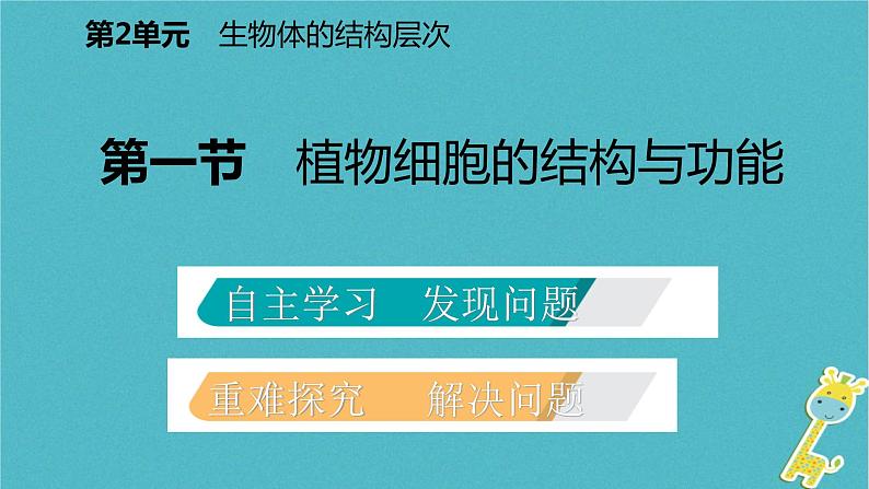 2018年七年级生物上册第二单元第三章第一节植物细胞的结构与功能课件新版苏教版20180822367第2页