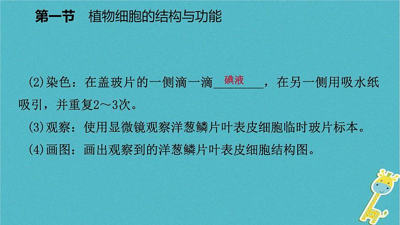 2018年七年级生物上册第二单元第三章第一节植物细胞的结构与功能课件新版苏教版20180822367第7页