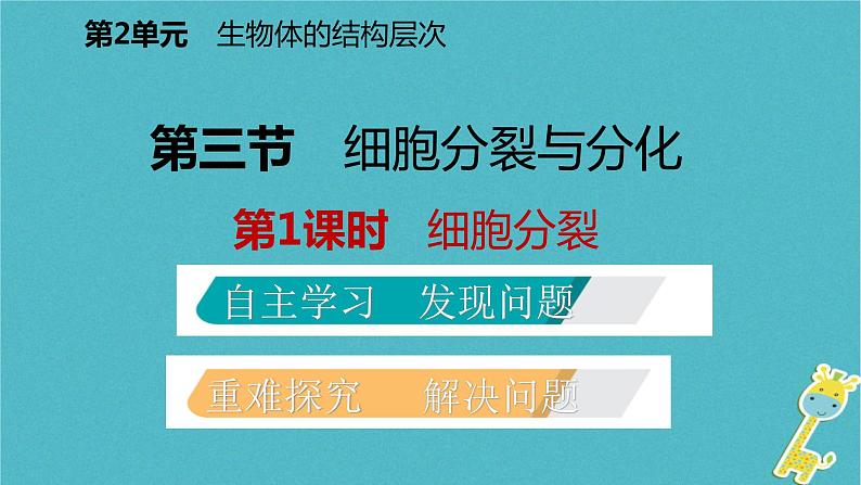 2018年七年级生物上册第二单元第三章第三节细胞的分裂与分化第1课时细胞分裂课件新版苏教版20180822369第2页