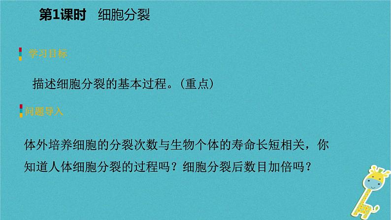 2018年七年级生物上册第二单元第三章第三节细胞的分裂与分化第1课时细胞分裂课件新版苏教版20180822369第3页