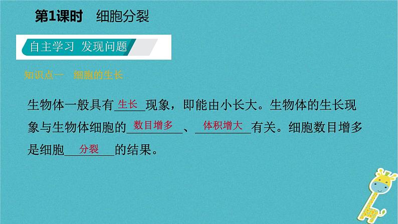 2018年七年级生物上册第二单元第三章第三节细胞的分裂与分化第1课时细胞分裂课件新版苏教版20180822369第4页