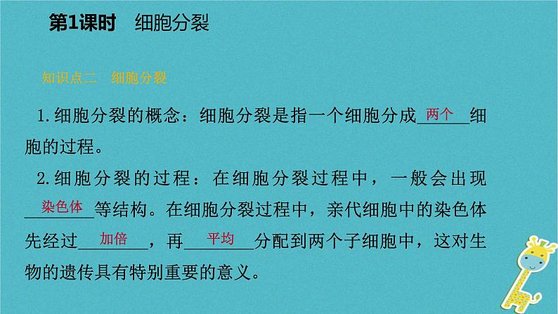 2018年七年级生物上册第二单元第三章第三节细胞的分裂与分化第1课时细胞分裂课件新版苏教版20180822369第5页