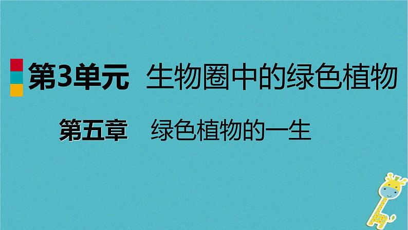 2018年七年级生物上册第三单元第五章第一节植物种子的萌发课件新版苏教版20180822350第1页