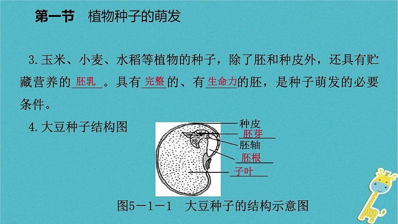 2018年七年级生物上册第三单元第五章第一节植物种子的萌发课件新版苏教版20180822350第5页