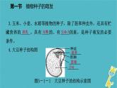 3.5.1 植物种子的萌发课件