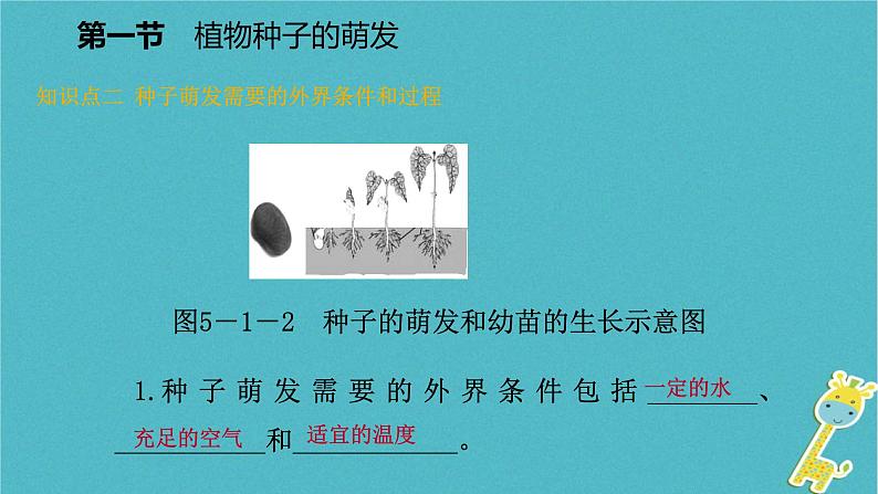 2018年七年级生物上册第三单元第五章第一节植物种子的萌发课件新版苏教版20180822350第6页