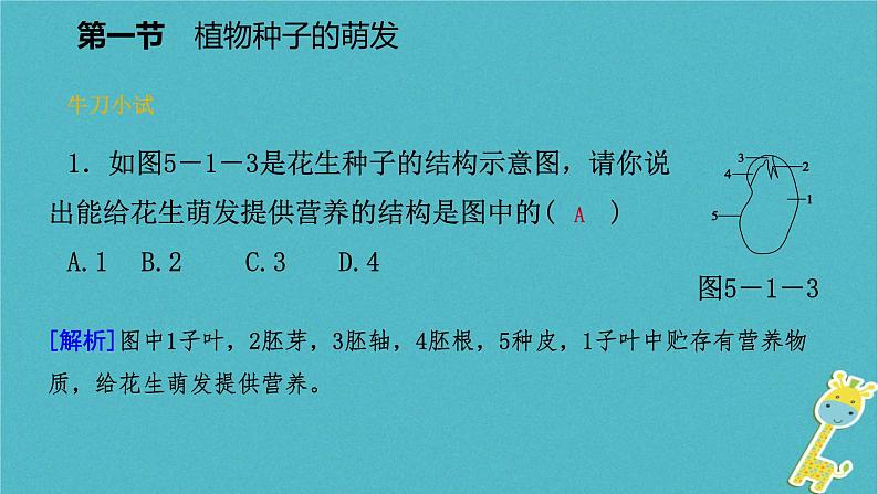 2018年七年级生物上册第三单元第五章第一节植物种子的萌发课件新版苏教版20180822350第8页