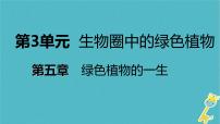 苏教版七年级上册第二节 植物根的生长图文ppt课件