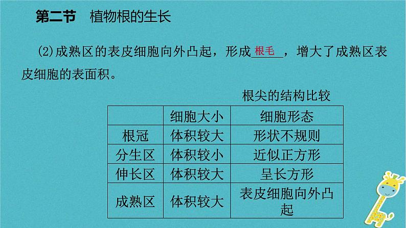 3.5.2 植物根的生长课件05