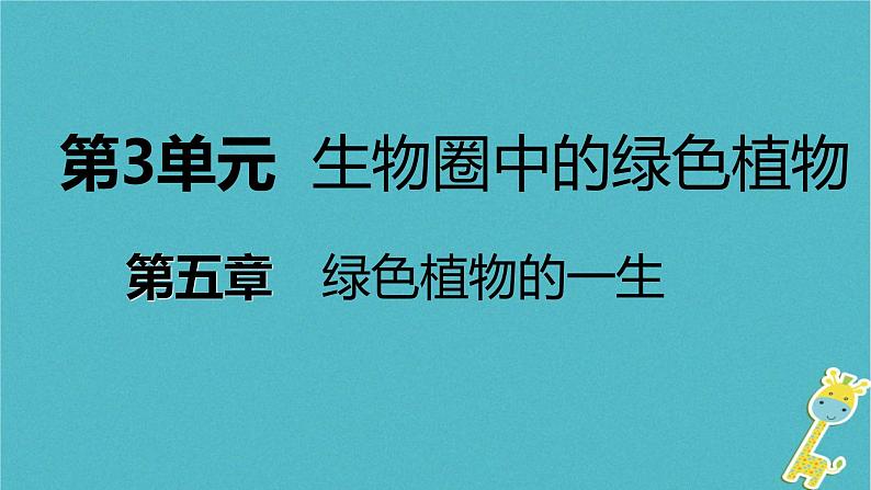 3.5.3 植物生长需要水和无机盐课件01