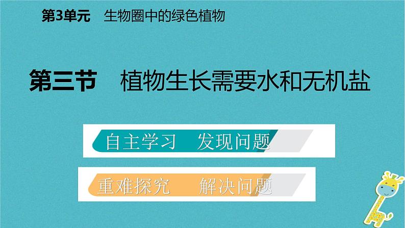 3.5.3 植物生长需要水和无机盐课件02