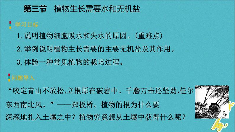 3.5.3 植物生长需要水和无机盐课件03