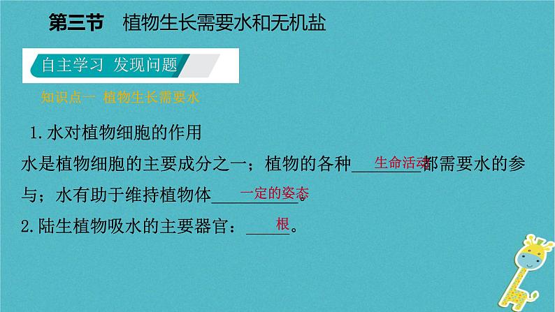 3.5.3 植物生长需要水和无机盐课件04