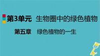 苏教版七年级上册第五节 植物的开花和结果背景图免费ppt课件