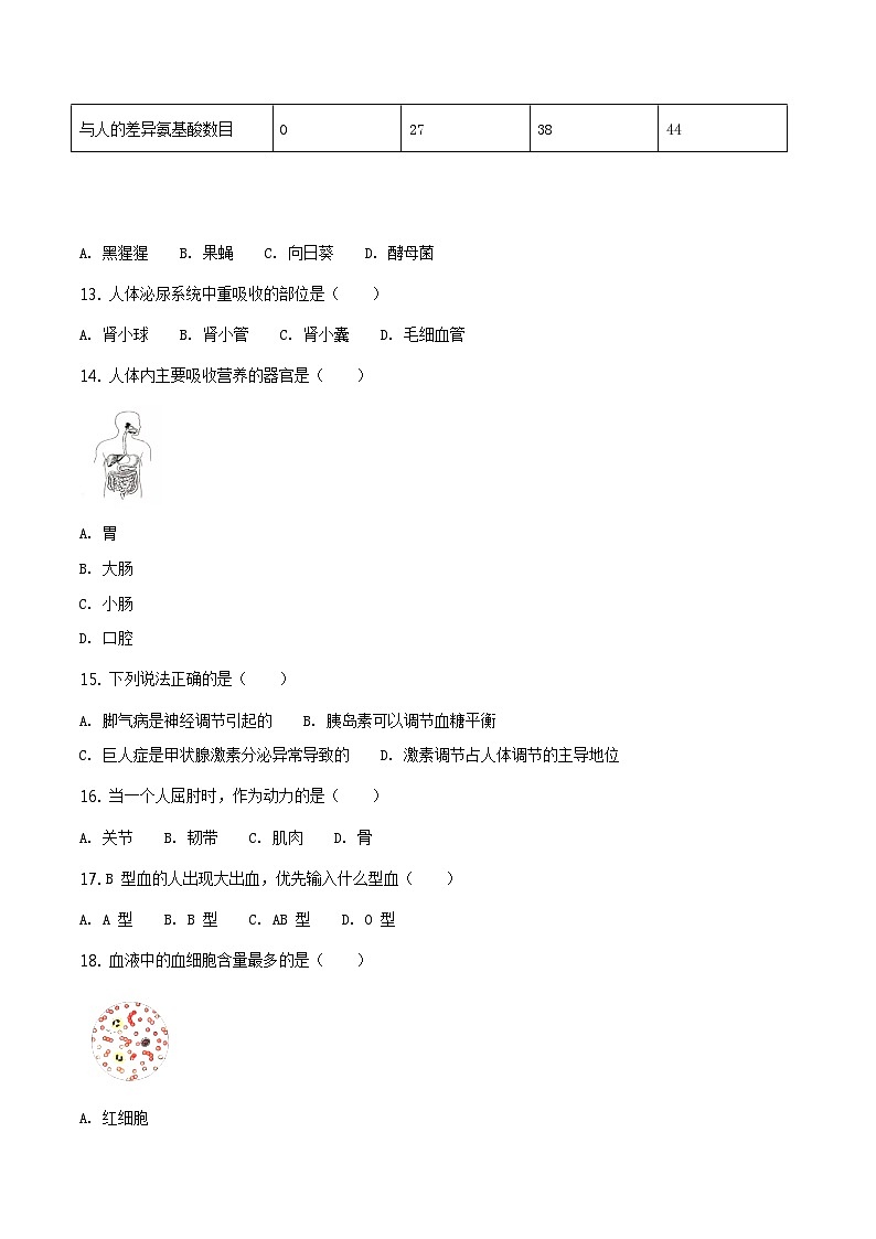 广东省深圳市2018年中考生物试题（原卷+解析）03