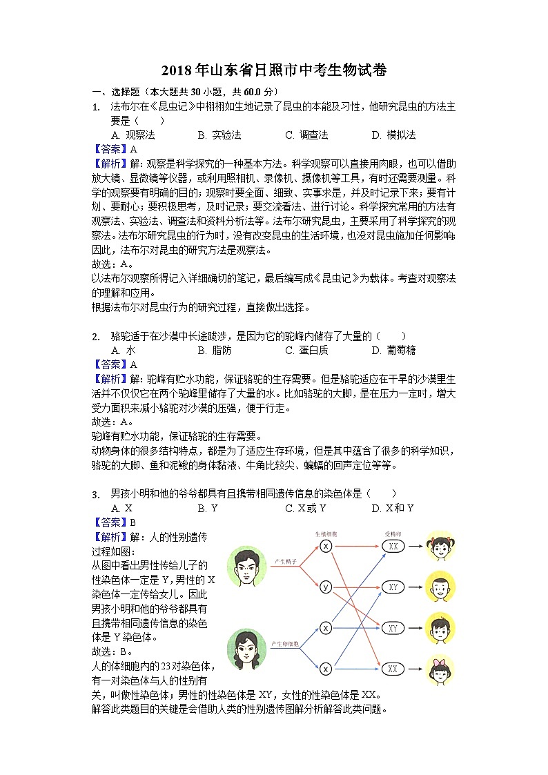 山东省日照市2018年中考生物试题（word版，含解析）01