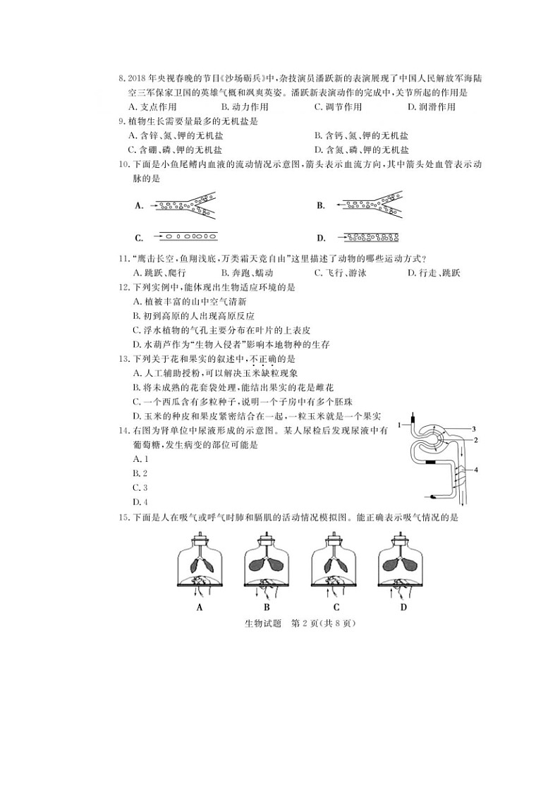 2018年山东德州中考生物试题（图片版 含答案）02
