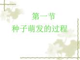 冀教版八上生物3.1.1种子萌发的过程 课件