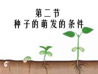 冀教版八年级上册第二节  种子萌发的条件示范课ppt课件