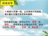 冀教版八上生物 3.1.3芽的发育 课件