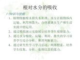 冀教版八上生物 3.2.2根对水分的吸收 课件