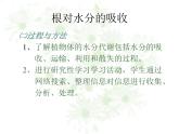 冀教版八上生物 3.2.2根对水分的吸收 课件