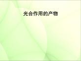 冀教版八上生物 3.3.1光合作用的产物 课件