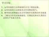 冀教版八上生物 3.3.1光合作用的产物 课件