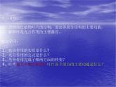 冀教版八上生物  3.3.3光合作用的场所 课件