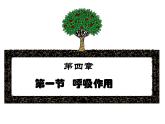 冀教版八上生物 3.4.1呼吸作用 课件