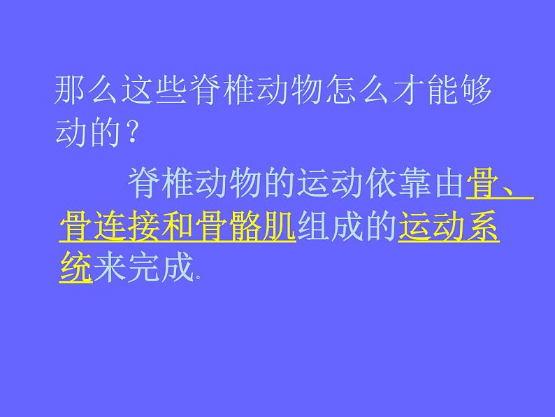 冀教版八上生物 4.1.1运动的基础 课件08