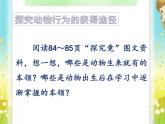 冀教版八上生物  4.2.3先天性行为和学习 课件