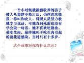 冀教版八上生物  4.2.3先天性行为和学习 课件