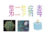 冀教版八上生物 5.1.2病毒 课件