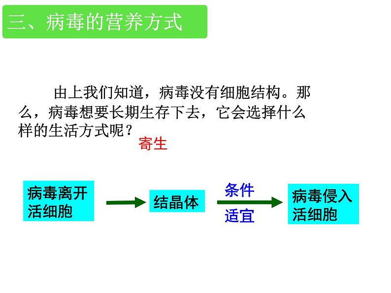 冀教版八上生物 5.1.2病毒 课件08