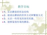 冀教版八上生物 5.2.2食用真菌 课件