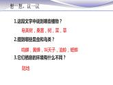 1.1.2 调查周边环境中的生物-课件-人教版七年级上册生物(共16张PPT)