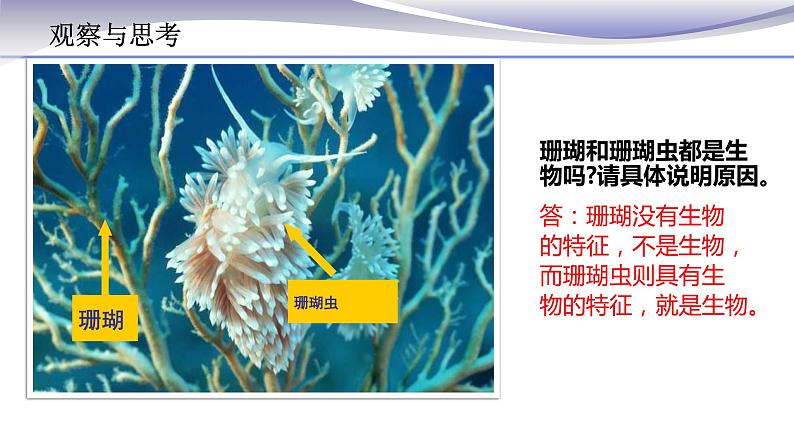 1.1.1 生物的特征 课件 人教版七年级上册生物(共22张PPT)05