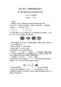 初中生物人教版 (新课标)七年级上册第二单元 生物体的结构层次第一章 细胞是生命活动的基本单位第三节 动物细胞精练