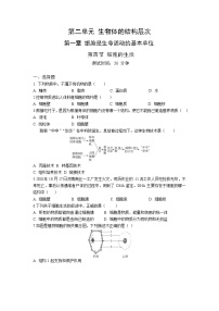 2020-2021学年第四节  细胞的生活一课一练