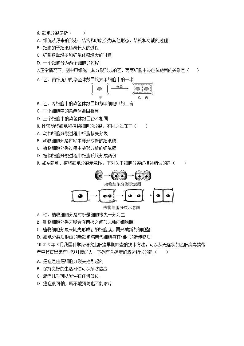 人教版生物七年级上册 第2单元 2.1 细胞通过分裂产生新细胞 同步练习题（解析版）第2页
