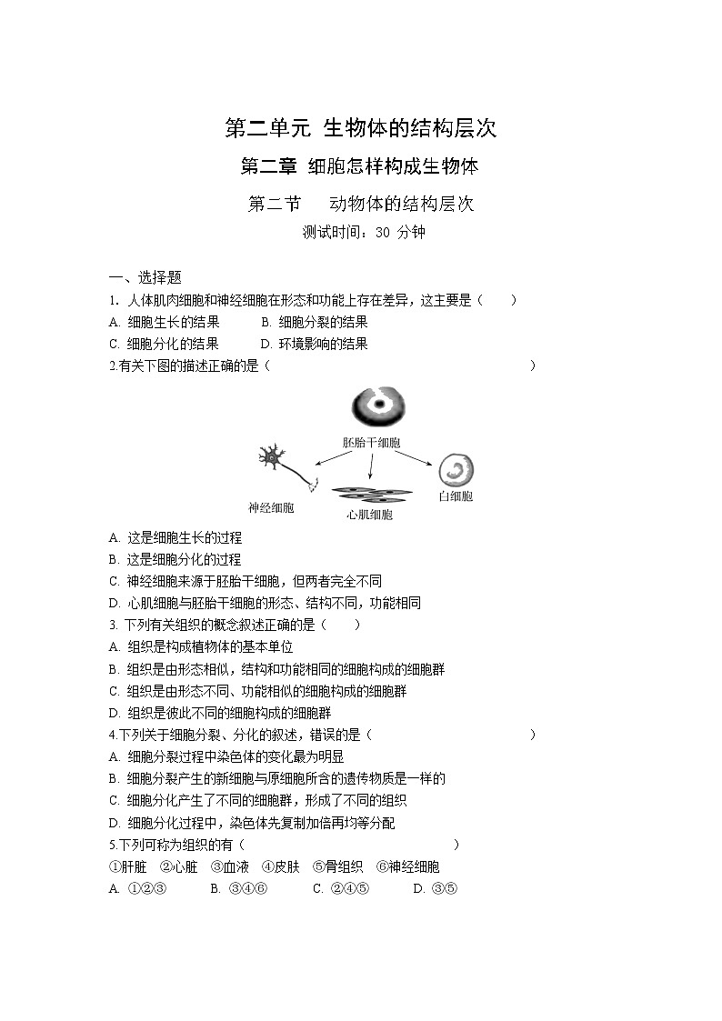 人教版生物七年级上册 第2单元 2.2 动物体的结构层次 同步练习题（解析版）01
