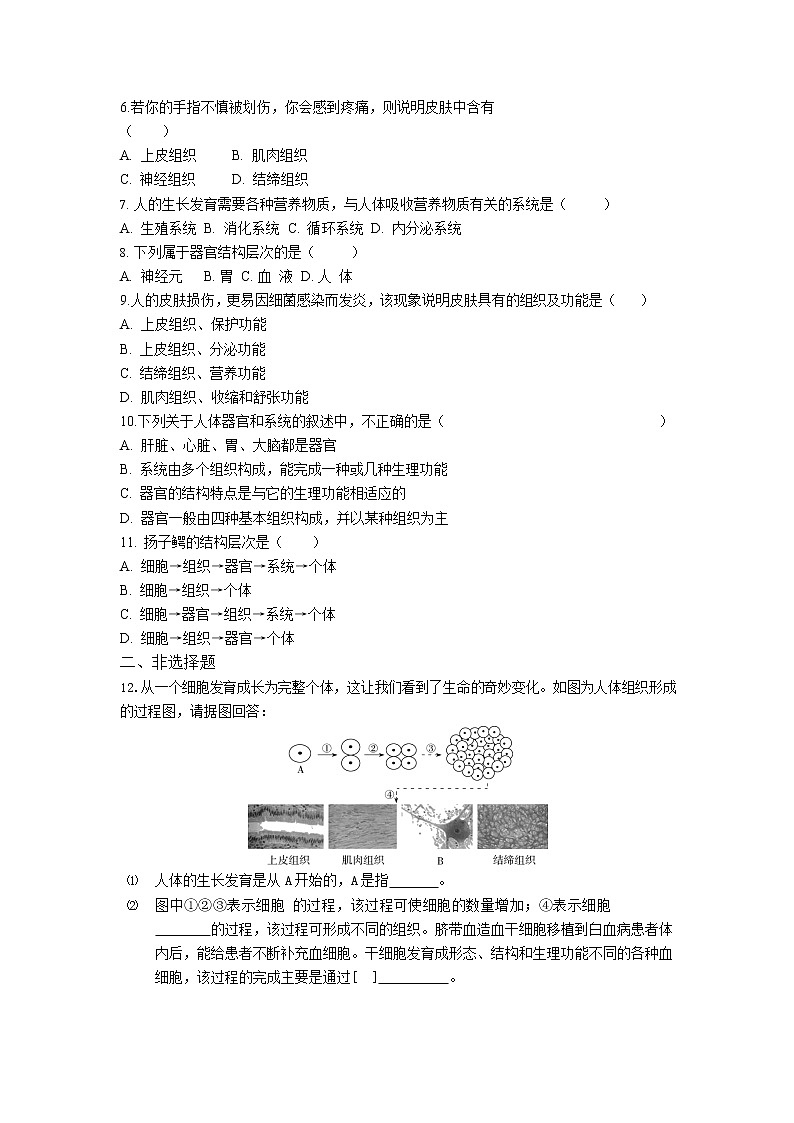 人教版生物七年级上册 第2单元 2.2 动物体的结构层次 同步练习题（解析版）02